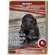 Discovery Channel Wonders of Nature: Kandula - Az zsiai elefnt / Kandula - An Elephant Story DVD / Audio: English, Hungarian