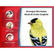 Pennington Earth Smart, Gray Plastic, Hopper Wild Bird Feeder, 2.5 lb. Capacity