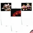thumbnail image 3 of 10 Assorted All Occasion Blank Note Cards with Envelopes (4 x 5.12 Inch) - ORCHID NIGHTS M1734BN, 3 of 6