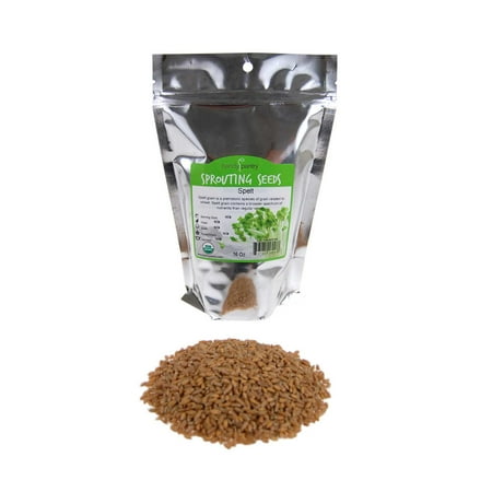 Organic Spelt- 1 Lbs- Grain Seeds: Flour, Bread, Baking, Cooking, Food Storage, Sprouting, Spelt Grass