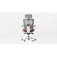 thumbnail image 2 of Autonomous ErgoChair Pro Office Chair Lumbar Support Red Apple - Foam, 2 of 8