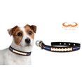 thumbnail image 2 of NFL Seattle Seahawks Classic Leather Football Collar, Small, 2 of 2