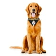 thumbnail image 4 of Pittsburgh Bandana pour Chien Steelers Taille m, 4 of 5