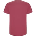 thumbnail image 2 of Roly T-Shirt Stafford pour Hommes, 2 of 4