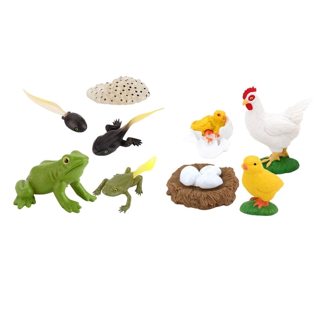 Simulación Animales Sunnimix Juguete Educativo Juego de Crecimiento de Insectos para Niños