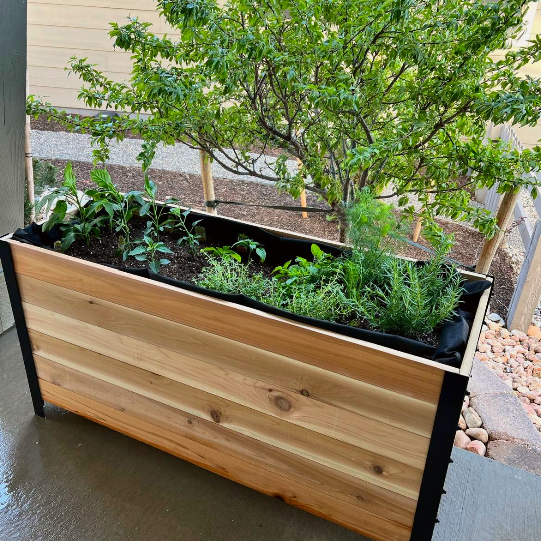 Cedar Planters 18" x 48" Elevated Garden Bed - Western Red Cedar Raised Planter Box, 24" Tall