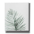 thumbnail image 1 of Epic Graffiti 'Summer Botanicals 1' by Rachel Nieman, Canvas Wall Art, 26"x30", 1 of 2