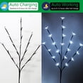 thumbnail image 5 of Luces solares para jardín al aire libre, luces de hadas para decoración de patio, camino, patio trasero, pasarela, 5 of 5