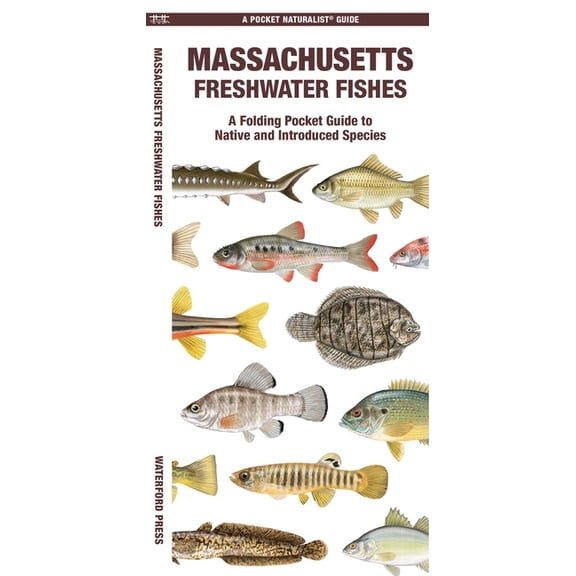Nature Observation North America Massachusetts Freshwater Fishes, (Paperback)