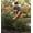 Rufous, variant on Regal Art & Gift 44" Hummingbird Flower Stake - Ruby Throated Metal Garden Stake