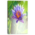 thumbnail image 2 of Huge Purple Lotus on Green Background - Large Flower Canvas Art Print, 2 of 3