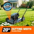 thumbnail image 3 of SENIX Gas Lawn Mower,20in Cutting Blade / 21in Cutting Deck, 144cc 4-Cycle Engine, 5-Position Height Adjustment Push Mower with Side Discharge, LSPG-L5, 3 of 11
