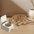 thumbnail image 4 of Smart Feeder Automatic Infrared Sensor Lid Cat Dog Bowl Food Dispenser Pet Meal Management System, 4 of 4