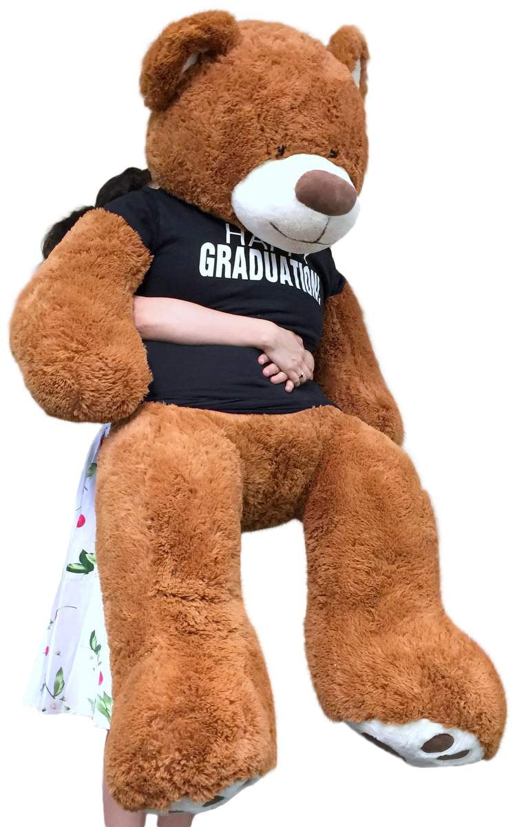 graduation teddy bear walmart