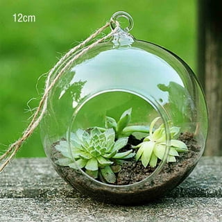 Plant Vase Glass Fish Tank Bubble Ball Tortoise Bowls for Goldfish Round  Terrarium Succulent Planter Office 
