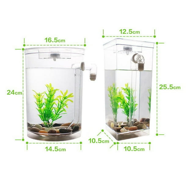 Small office fish store tank