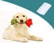 thumbnail image 2 of 1 Uds. Peines de doble cara con cabeza de diente fino para niños, cepillo para quitar el pelo de plástico para pulgas, perros y mascotas, peines, 2 of 5