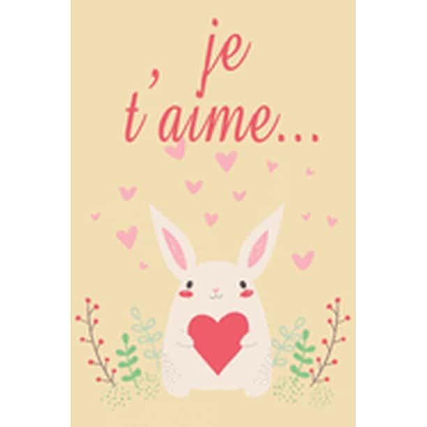 Je T Aime Carnet De Note Cadeau De Saint Valentin Idee Cadeau Drole Humour Pour Les Couples Lui Amie Partenaire Copine Ou Marie Cadeau Mariage Anniversaire Romantique Cadeaux Amoureux Paperback Walmart Com
