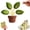 1pcs-green, variant on Magnetic Chip Clips Tree Leaf Shaped Bag Clips, Decorative Kitchen Organizer Cute Flower Petal Leaf Magnetic Chip Clips for Food Storage, Fridge, Office & Home Use