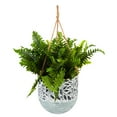 thumbnail image 3 of Evergreen Painted Metal Hanging Planters Set of 3, 10''x 10'' x 11.2'' inches, 3 of 3
