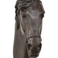 thumbnail image 4 of Lilie 14 Inch Horse Head Bust Statuette - Wall Mount Design - Resin - Brown, 4 of 5