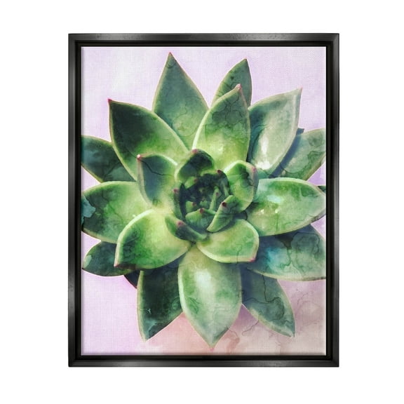 Round Succulent Plant Leaves Botanical & Floral Graphic Art Jet Black Framed Art Print Wall Art