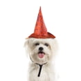 thumbnail image 2 of Leeye Halloween Pet Witch Hat, Adjustable Orange Witch Costume Hat for Cats Dogs Small Pets Halloween Party Dress Up, Orange, One Size, 0.02 lb, 2 of 4