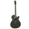 RainSong Hybrid Series H-WS1000N2 Deep Body Cutaway Acoustic-Electric Guitar Black