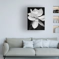 thumbnail image 2 of Trademark Fine Art Michael Harrison Magnolia Canvas Wall Art - 14x19, 2 of 4