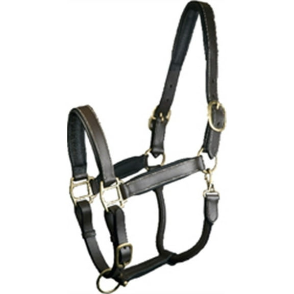 Gatsby Fully Adjust Padded Leather Halter Horse