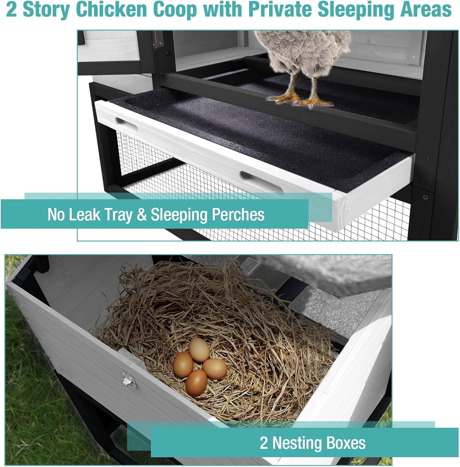 MEDEHOO Chicken Coop, Mobile Chicken House with with Wheels, Outdoor Hen House Poultry Cage with Nesting Box, Leakproof Pull Out Tray and UV-Resistant Roof,Rabbit Hutch Duck Coop (Black)