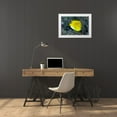 thumbnail image 3 of Shimlock, Jones 24x18 White Modern Wood Framed Museum Art Print Titled - Indonesia Three spot angelfish swims amid coral, 3 of 4