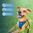 thumbnail image 2 of Malla Harness Best Pet Supplies para todo tipo de clima para perros y gatos pequeños y medianos, color turquesa XXS, 2 of 7