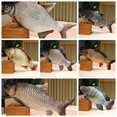 thumbnail image 5 of 3D simulación pez dorado juguetes de peluche Animal suave carpa almohada de felpa sofá creativo almohada cojín regalo juguete para niños, 5 of 5