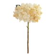 thumbnail image 5 of Tuvgenk Beige Hydrangea Artificial Flowers Holiday Artificial Flowers Indoor Bouquet Sturdy for Decoration, 5 of 5