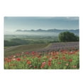 thumbnail image 1 of Flower Cutting Board, Poppy Flower Lavender Farm Foggy Morning Agriculture Outdoor Crops Red Purple Art, Decorative Tempered Glass Cutting and Serving Board, Large Size, Multicolor, by Ambesonne, 1 of 1