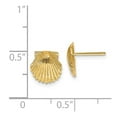 thumbnail image 3 of Auriga 14k Yellow Gold Scallop Shell Stud Earrings for Women(L- 9mm, W- 9mm), 3 of 5