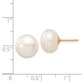 thumbnail image 3 of 14k 10-11mm White Button Freshwater Cultured Pearl Stud Post Earrings in 14k Yellow Gold, 3 of 3