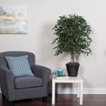 thumbnail image 3 of Vickerman 4' Mini Ficus Bush - TBU4240, 3 of 3
