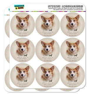 TIESOME Cute Dog Stickers, 100pcs Waterproof Animals Stickers Colorful Pet  Corgi Dog Stickers Vinyl Puppy Stickers Decals Pack Decoration for Office