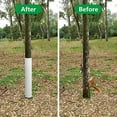 thumbnail image 6 of Plastic Tree Guard Protector Wrap, 4/6-Pack Protective Cover for Saplings & Young Plants Against Deer, Rabbit & Cat Damage - Garden Plant Shield, Trunk Protector for Outdoor Use, 6 of 8