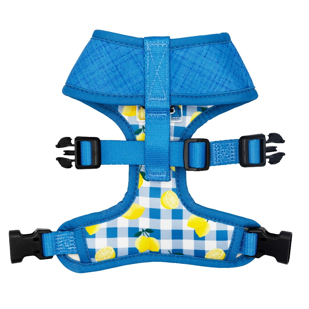 Sassy Woof Comfort Dual-Clip Reversible Dog Harness - Lemonade Stand, Extra Small