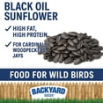 thumbnail image 2 of Semillas para aves CountryMax de girasol negro 11,5 kg, 2 of 5