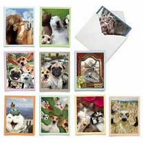10 Bulk Thank You Cards with Envelopes (4 x 5.12 Inch) - ANIMAL SELFIES M2373TYG