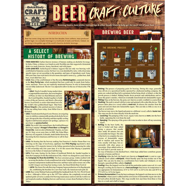 Beer Craft & Culture Quickstudy Laminated Reference Guide to