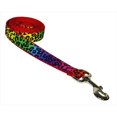thumbnail image 1 of 4 Pi Leopard Chien Laisse & 44; Arc-en-Ciel - Petit, 1 of 1