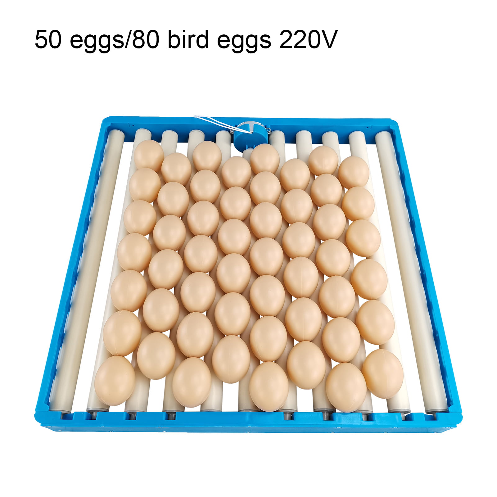 Easy to Clean Chicken Egg Setter Tray 80 EggsDurable 