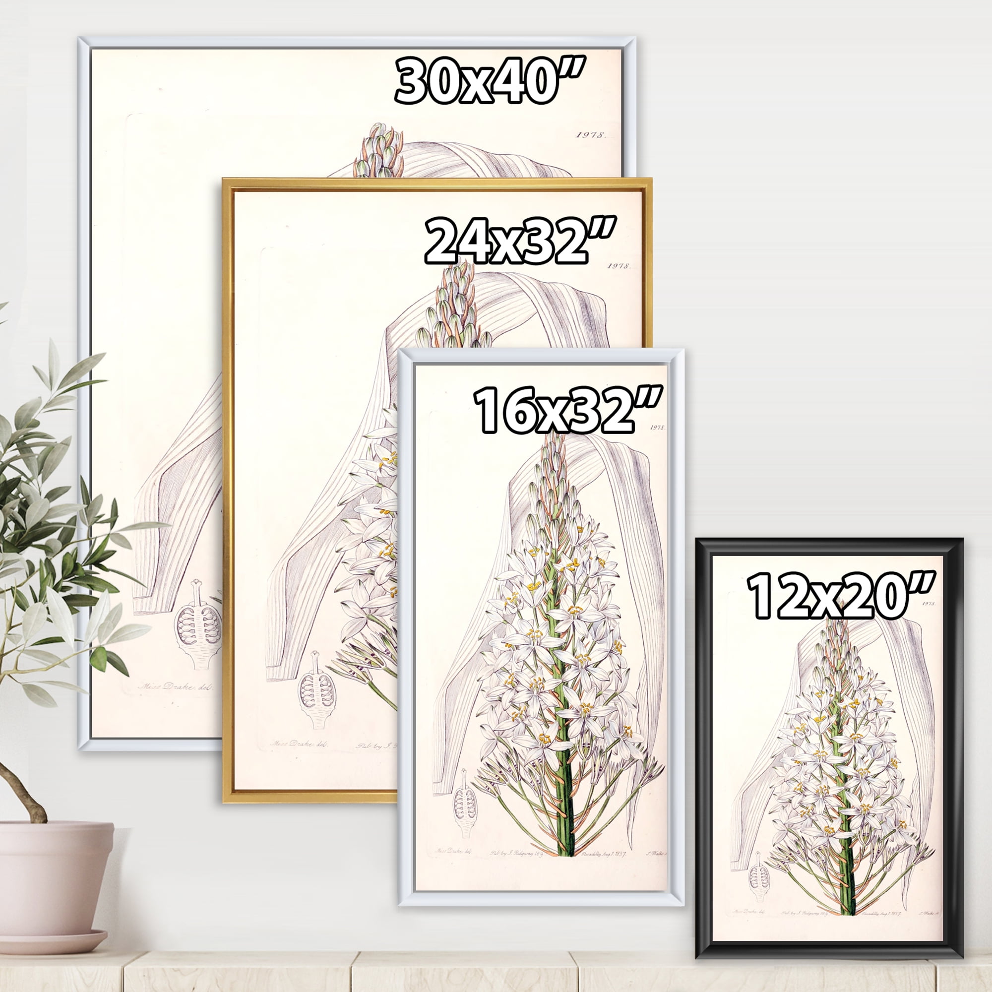 Designart 'White Vintage Orchid I' Traditional Framed Canvas Wall Art Print