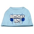 thumbnail image 1 of Birthday Boy Screen Print Shirts Baby Blue Xs (8), 1 of 1