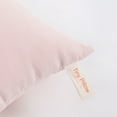 thumbnail image 3 of Ntbay 2 Pack Microfiber Soft Tiny Pillows, Machine Washable Travel Pillows, 11" x 7", Pink, 3 of 5